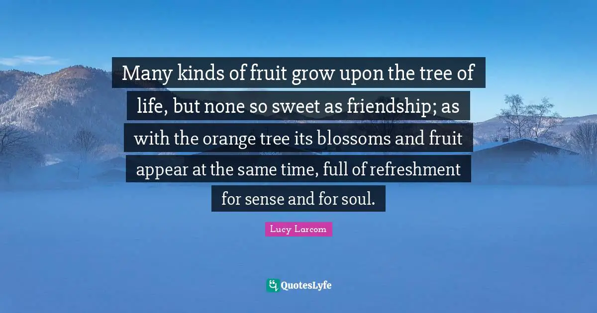 Many kinds of fruit grow upon the tree of life, but none so sweet as friendship; as with the orange tree its blossoms and fruit appear at the same time, full of refreshment for sense and for soul.