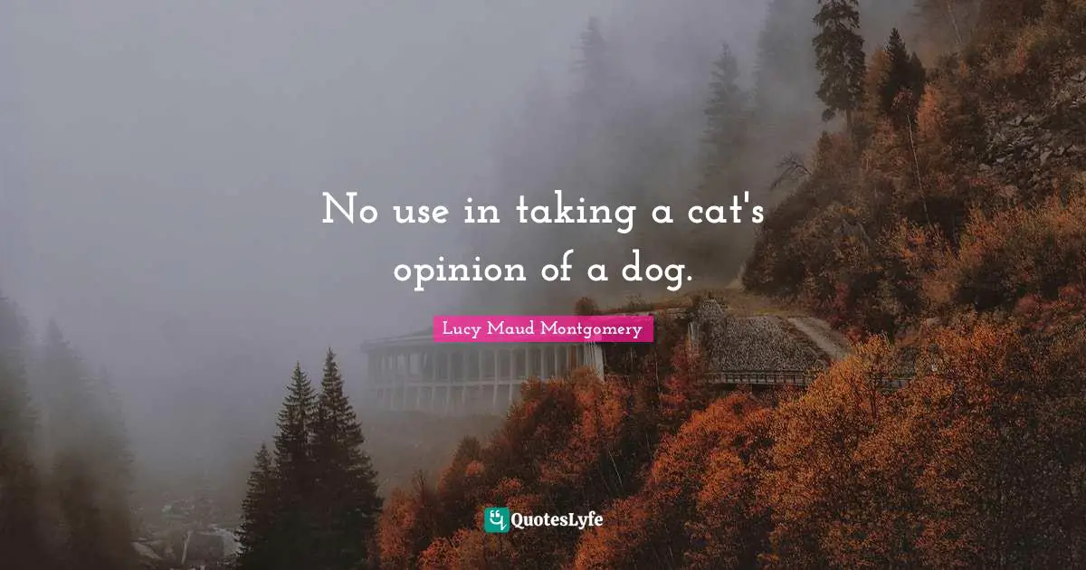 No use in taking a cat's opinion of a dog.
