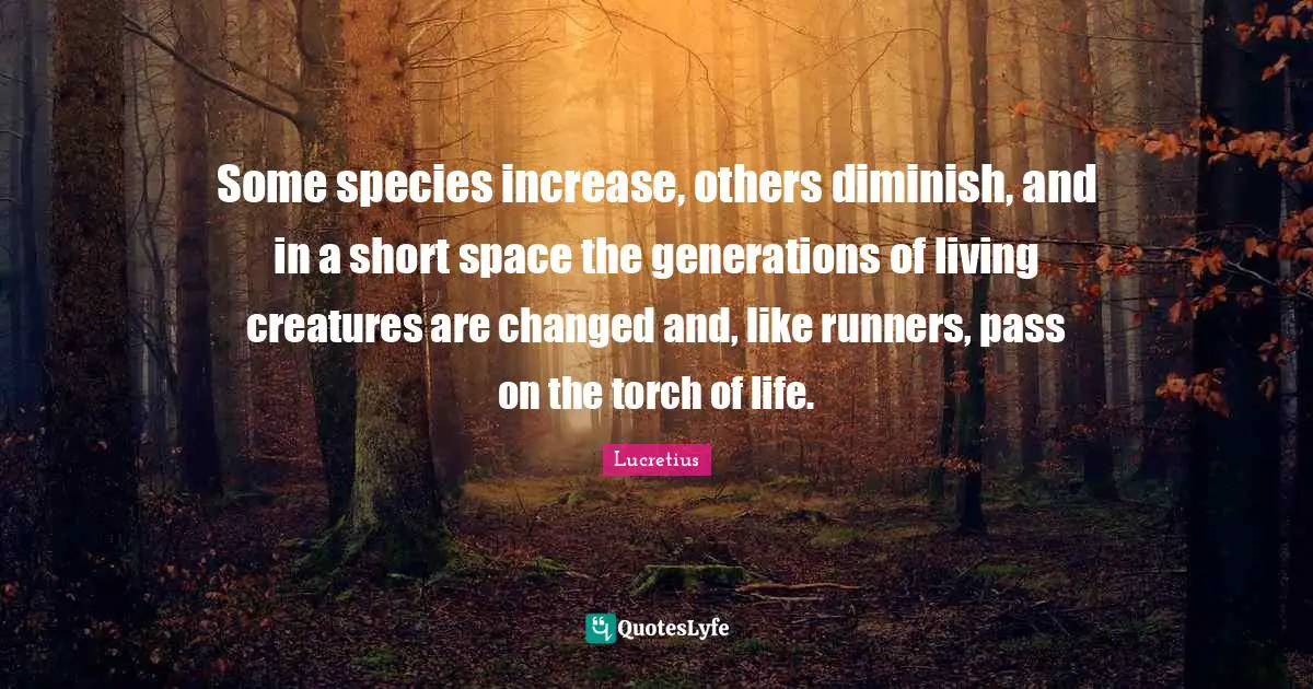 Diminish Quotes: "Some species increase, others diminish, and in a short space the generations of living creatures are changed and, like runners, pass on the torch of life."