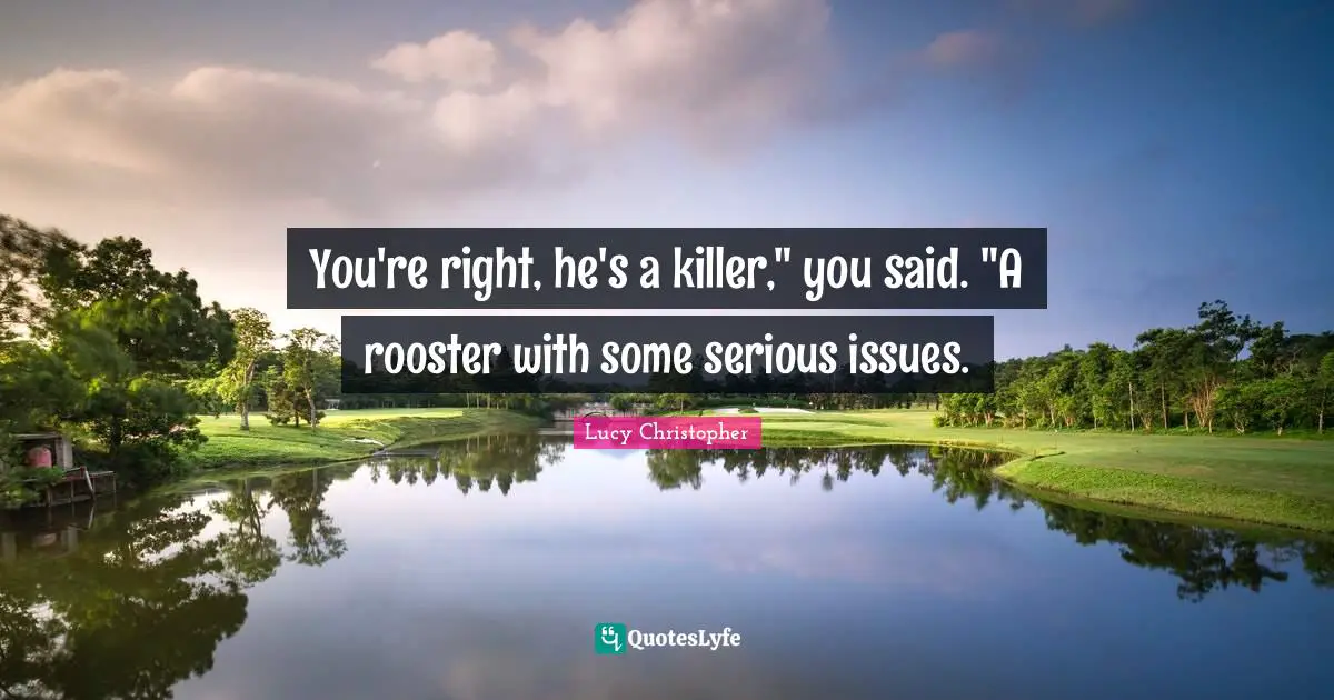 You're right, he's a killer," you said. "A rooster with some serious issues.