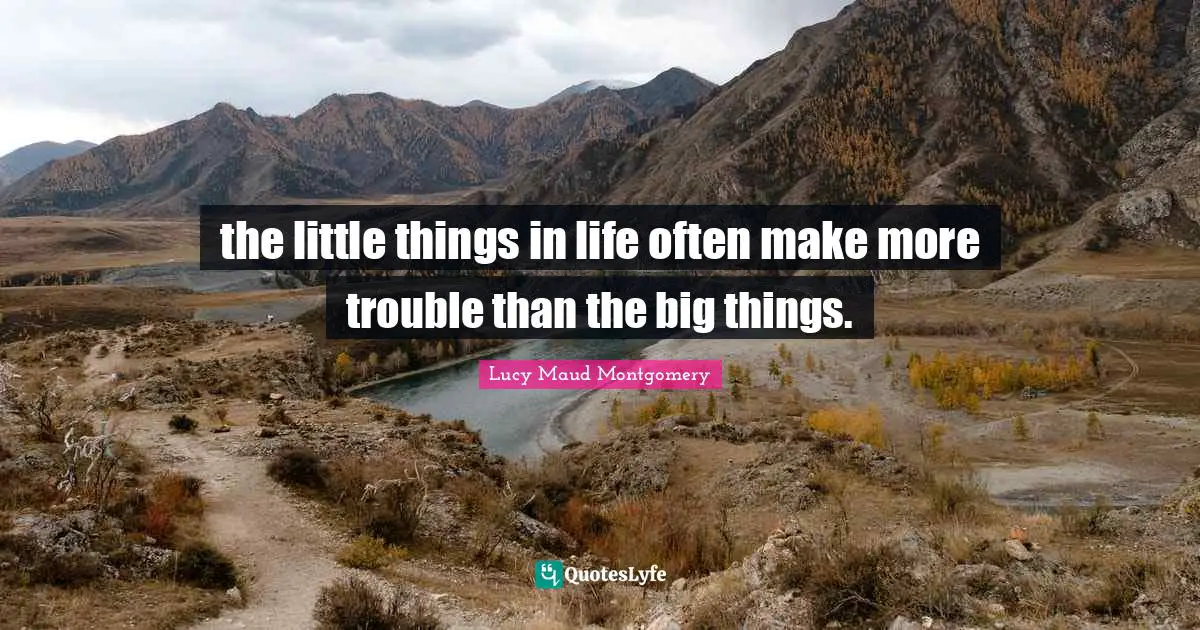 the little things in life often make more trouble than the big things.