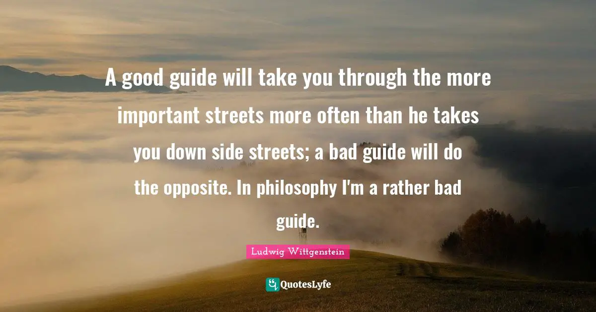 A good guide will take you through the more important streets more often than he takes you down side streets; a bad guide will do the opposite. In philosophy I'm a rather bad guide.