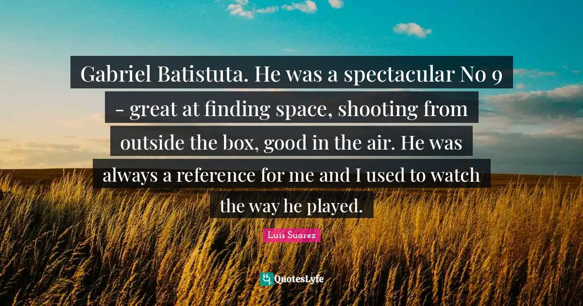 Gabriel Batistuta. He was a spectacular No 9 - great at finding space ...