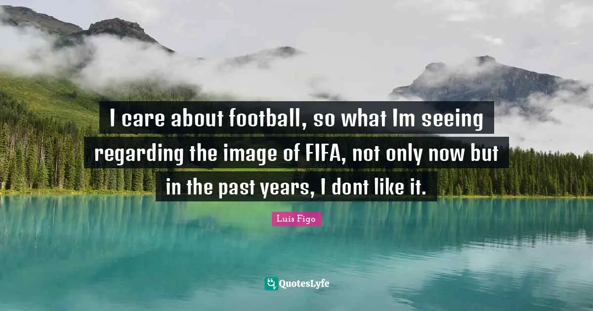 I care about football, so what Im seeing regarding the image of FIFA, not only now but in the past years, I dont like it.