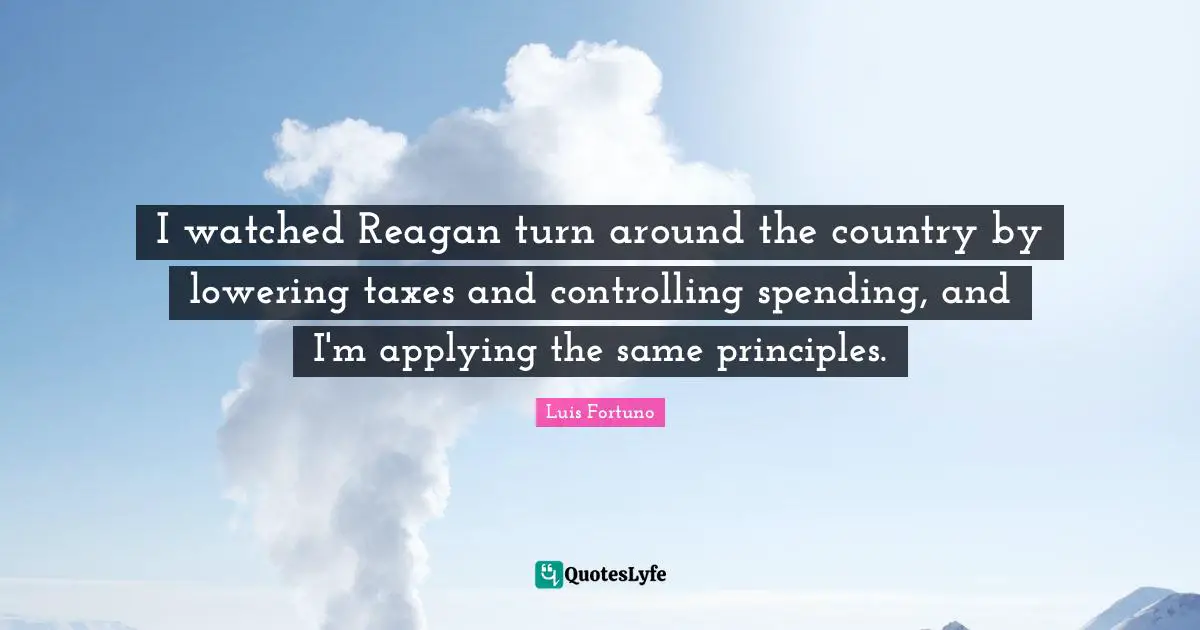 I watched Reagan turn around the country by lowering taxes and controlling spending, and I'm applying the same principles.