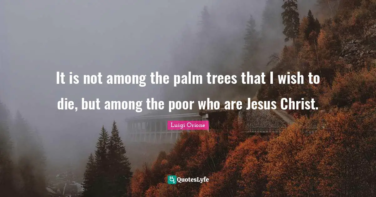 Palm Trees Quotes: "It is not among the palm trees that I wish to die, but among the poor who are Jesus Christ."