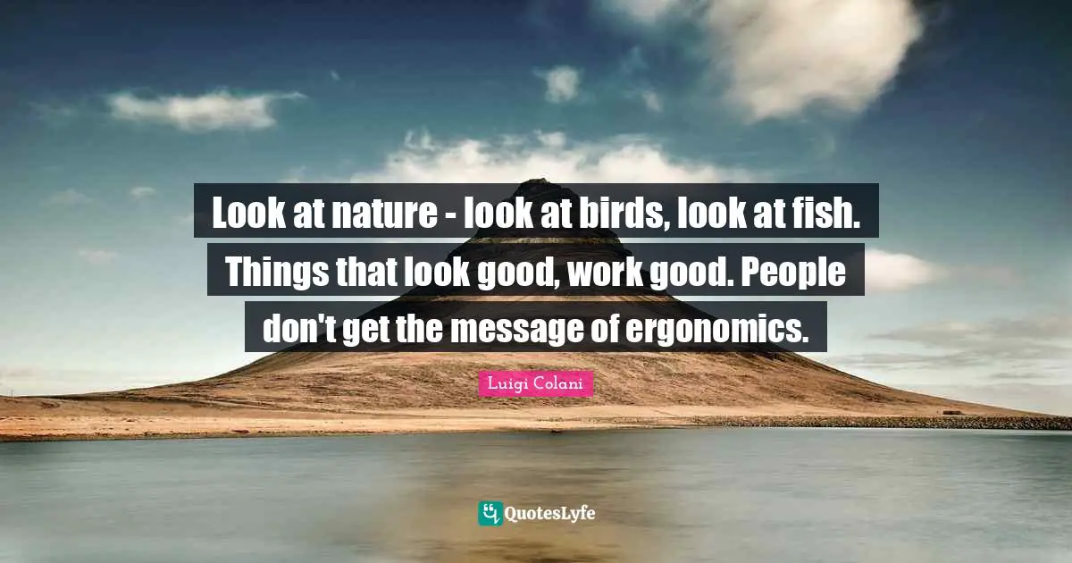 Look at nature - look at birds, look at fish. Things that look good, work good. People don't get the message of ergonomics.