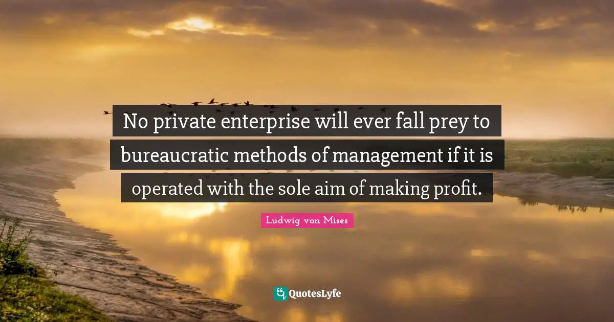 No private enterprise will ever fall prey to bureaucratic methods of management if it is operated with the sole aim of making profit.