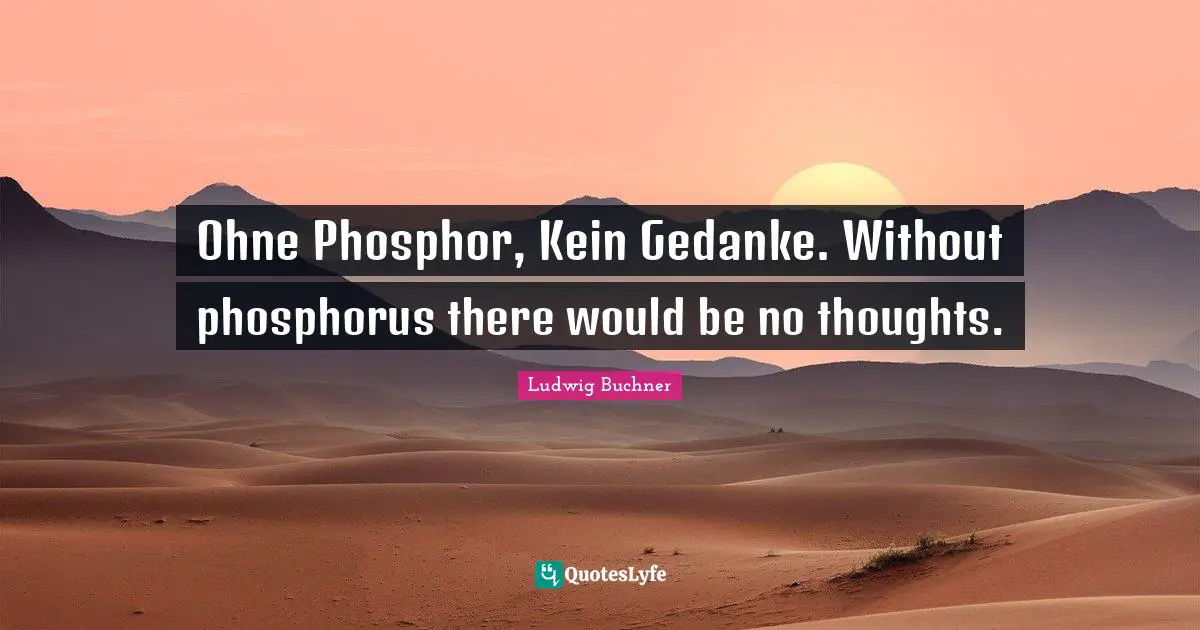 Phosphorus Quotes: "Ohne Phosphor, Kein Gedanke. Without phosphorus there would be no thoughts."