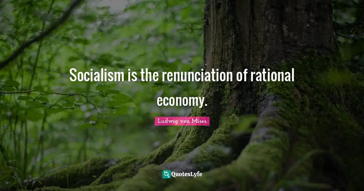 Socialism is the renunciation of rational economy.