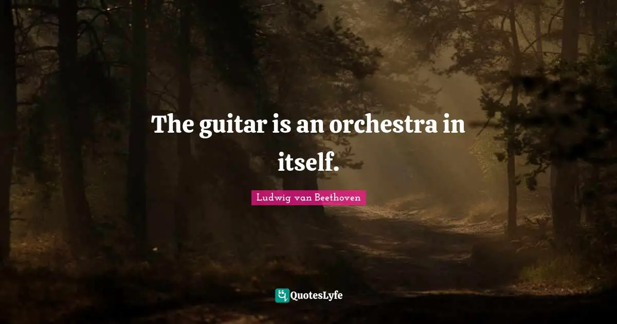 Ludwig Van Beethoven Quotes: "The guitar is an orchestra in itself."