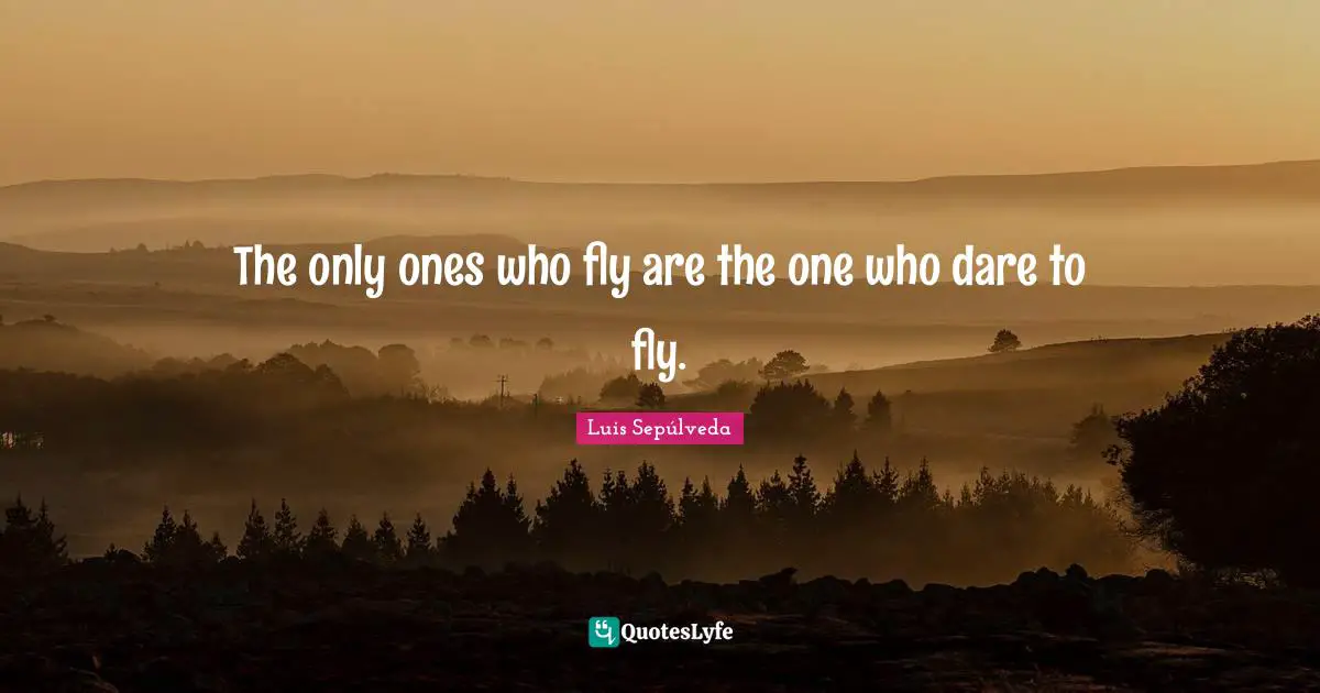 The only ones who fly are the one who dare to fly.