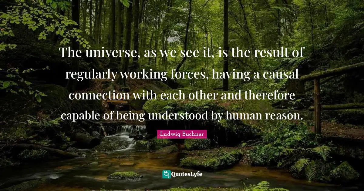 The universe, as we see it, is the result of regularly working forces, having a causal connection with each other and therefore capable of being understood by human reason.