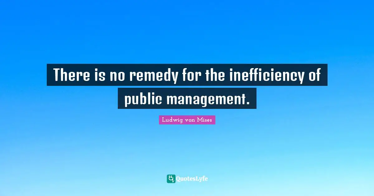 Inefficiency Quotes: "There is no remedy for the inefficiency of public management."