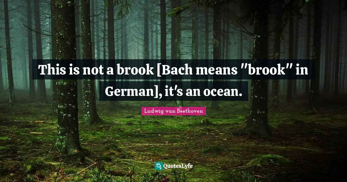Brooks Quotes: "This is not a brook [Bach means "brook" in German], it's an ocean."