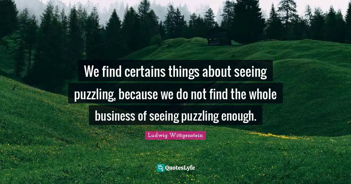 We find certains things about seeing puzzling, because we do not find the whole business of seeing puzzling enough.