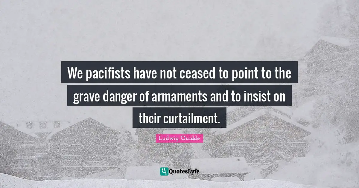 Ludwig Quidde Quotes: "We pacifists have not ceased to point to the grave danger of armaments and to insist on their curtailment."