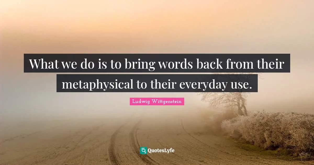 What we do is to bring words back from their metaphysical to their everyday use.