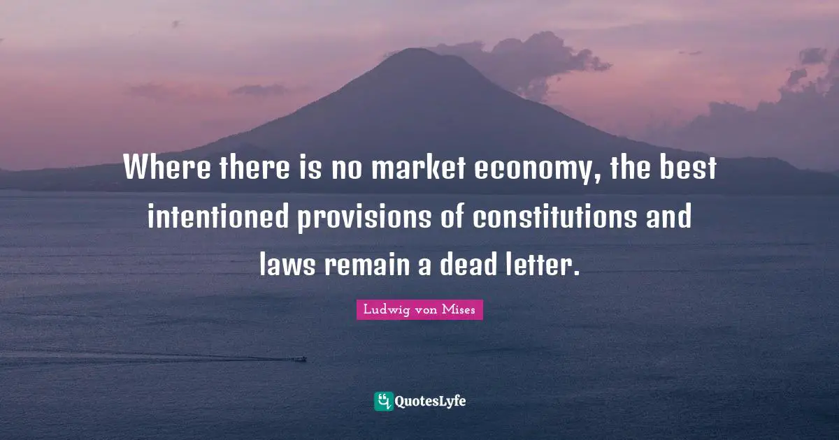 Where there is no market economy, the best intentioned provisions of constitutions and laws remain a dead letter.