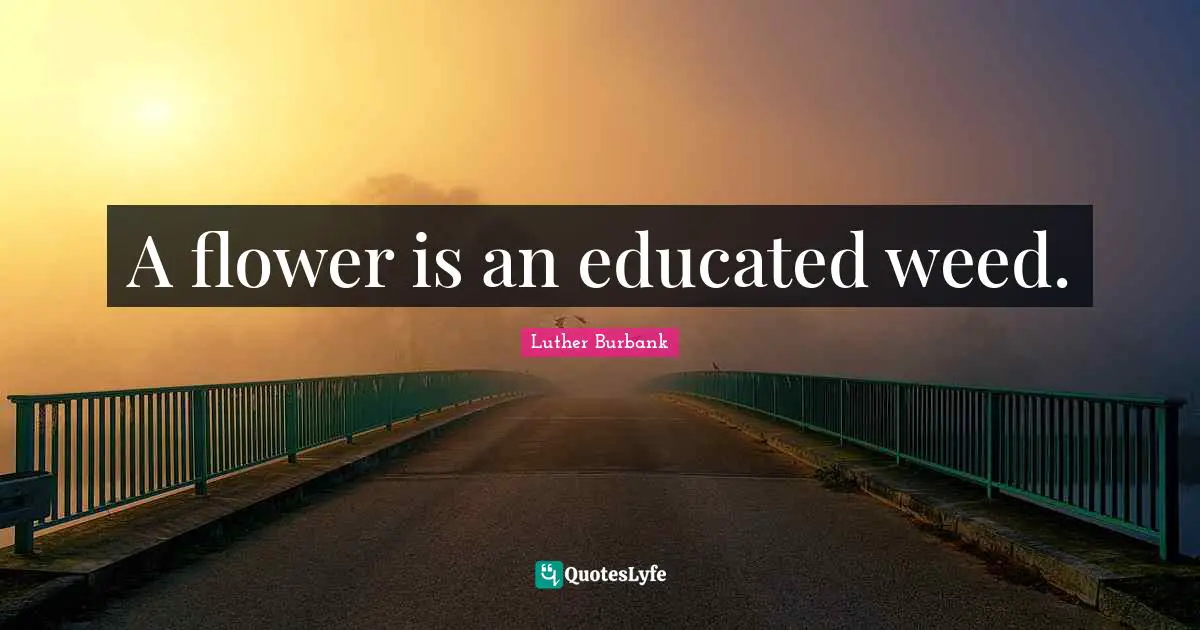 Luther Burbank Quotes: "A flower is an educated weed."