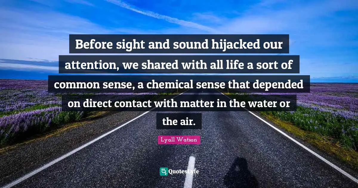Before sight and sound hijacked our attention, we shared with all life a sort of common sense, a chemical sense that depended on direct contact with matter in the water or the air.