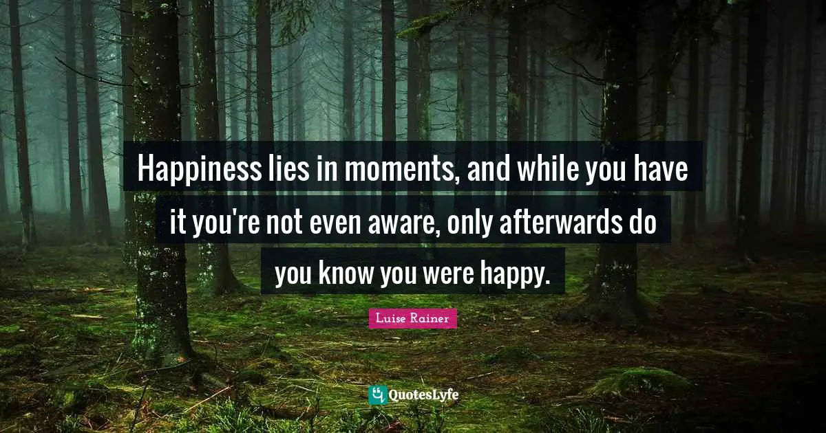 Happiness lies in moments, and while you have it you're not even aware, only afterwards do you know you were happy.