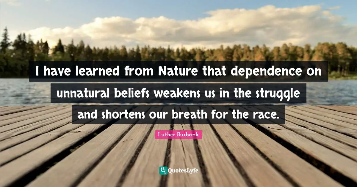 Luther Burbank Quotes: "I have learned from Nature that dependence on unnatural beliefs weakens us in the struggle and shortens our breath for the race."