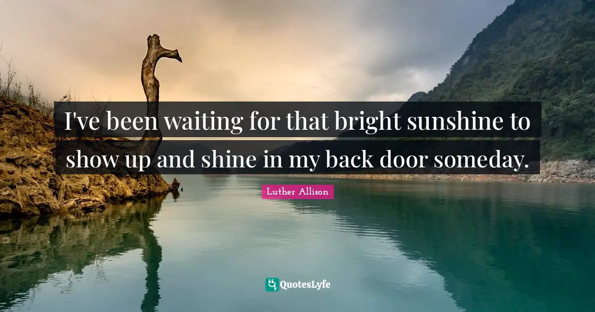 I've been waiting for that bright sunshine to show up and shine in my back door someday.