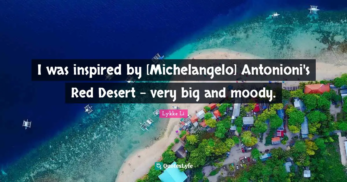 I was inspired by [Michelangelo] Antonioni's Red Desert - very big and moody.