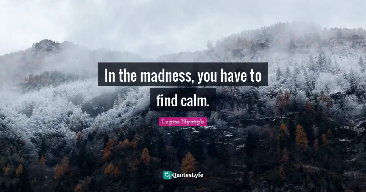 In the madness, you have to find calm.