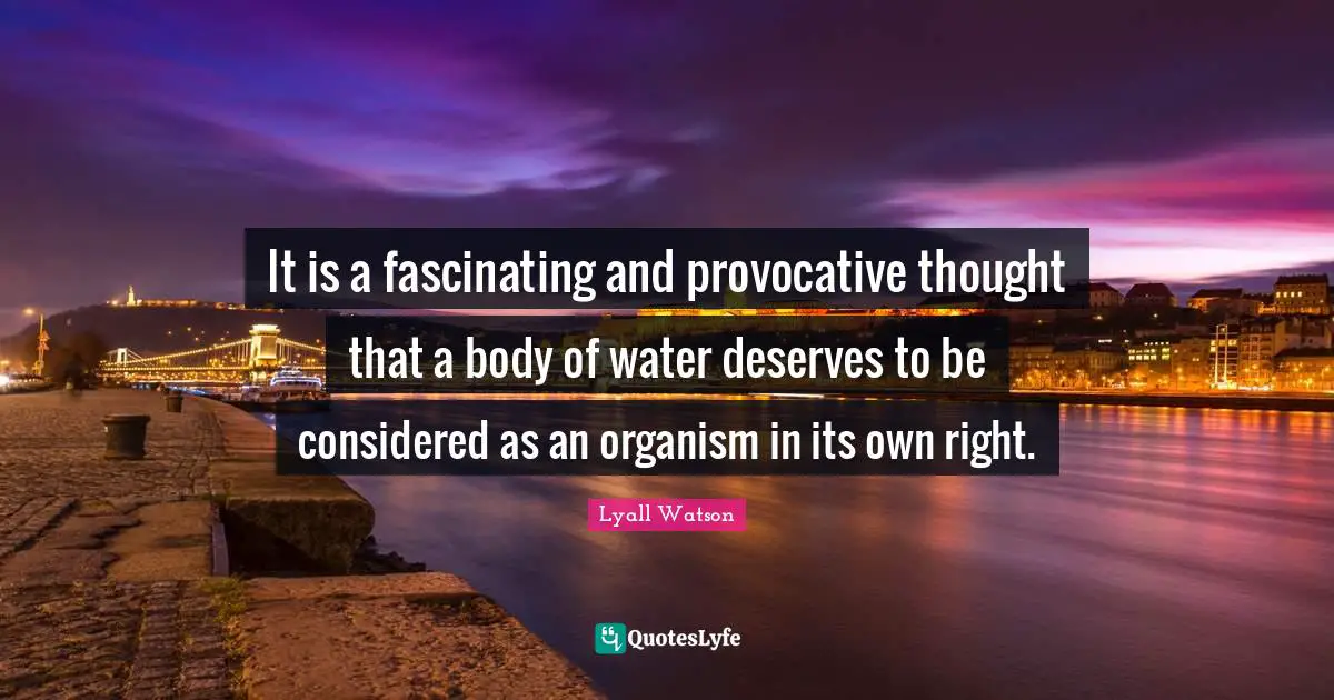 It is a fascinating and provocative thought that a body of water deserves to be considered as an organism in its own right.