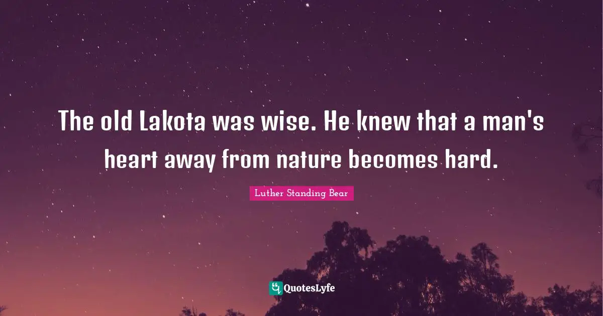 The old Lakota was wise. He knew that a man's heart away from nature becomes hard.