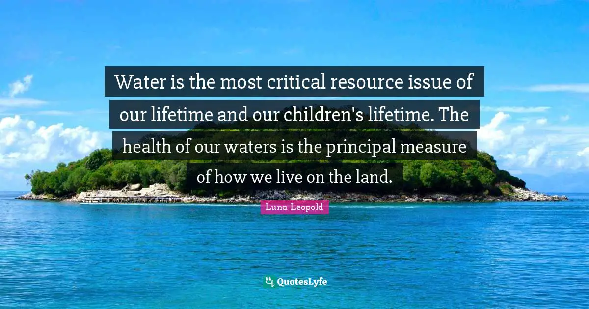 Critical Quotes: "Water is the most critical resource issue of our lifetime and our children's lifetime. The health of our waters is the principal measure of how we live on the land."