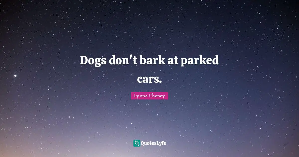 Dogs don't bark at parked cars.