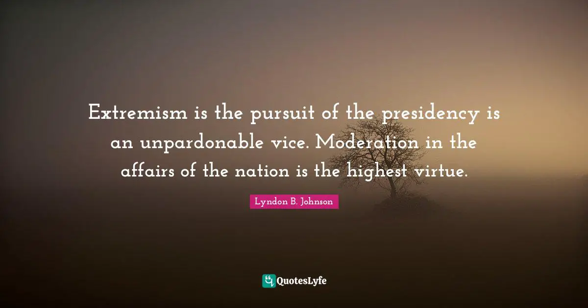 Extremism is the pursuit of the presidency is an unpardonable vice. Moderation in the affairs of the nation is the highest virtue.