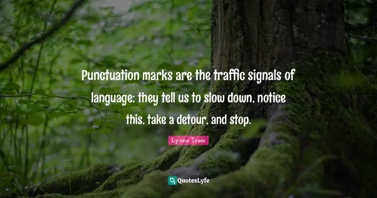 Punctuation marks are the traffic signals of language: they tell us to slow down, notice this, take a detour, and stop.