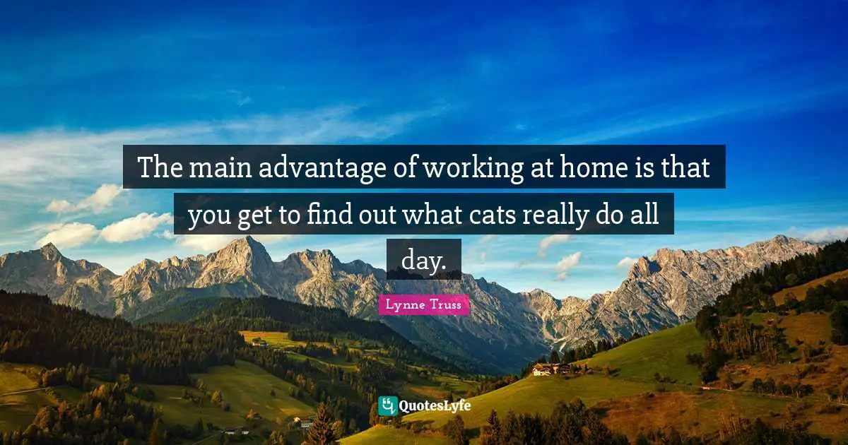 The main advantage of working at home is that you get to find out what cats really do all day.