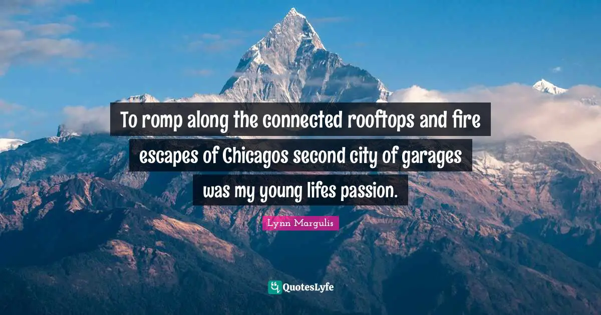 To romp along the connected rooftops and fire escapes of Chicagos second city of garages was my young lifes passion.