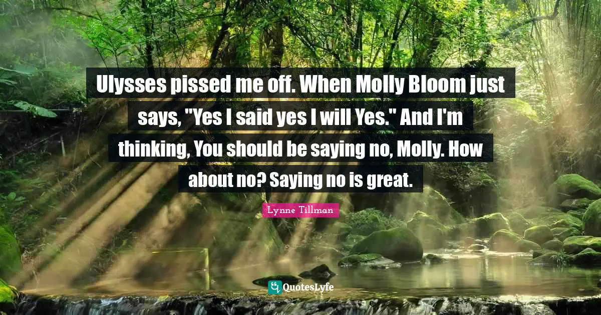 Ulysses pissed me off. When Molly Bloom just says, "Yes I said yes I will Yes." And I'm thinking, You should be saying no, Molly. How about no? Saying no is great.
