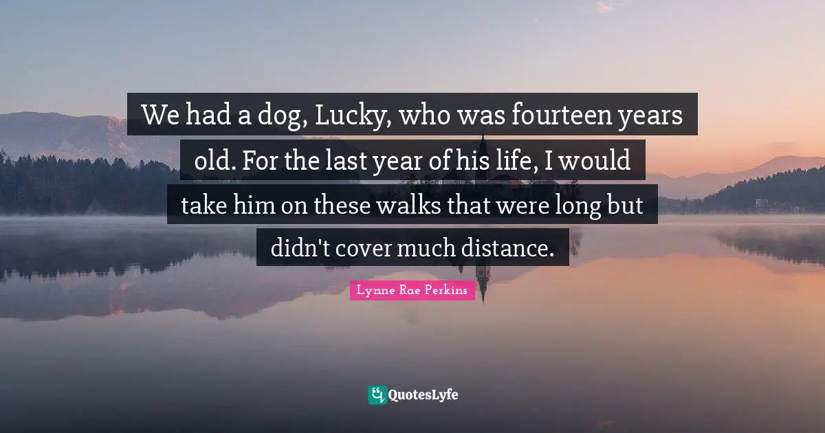 We had a dog, Lucky, who was fourteen years old. For the last year of his life, I would take him on these walks that were long but didn't cover much distance.