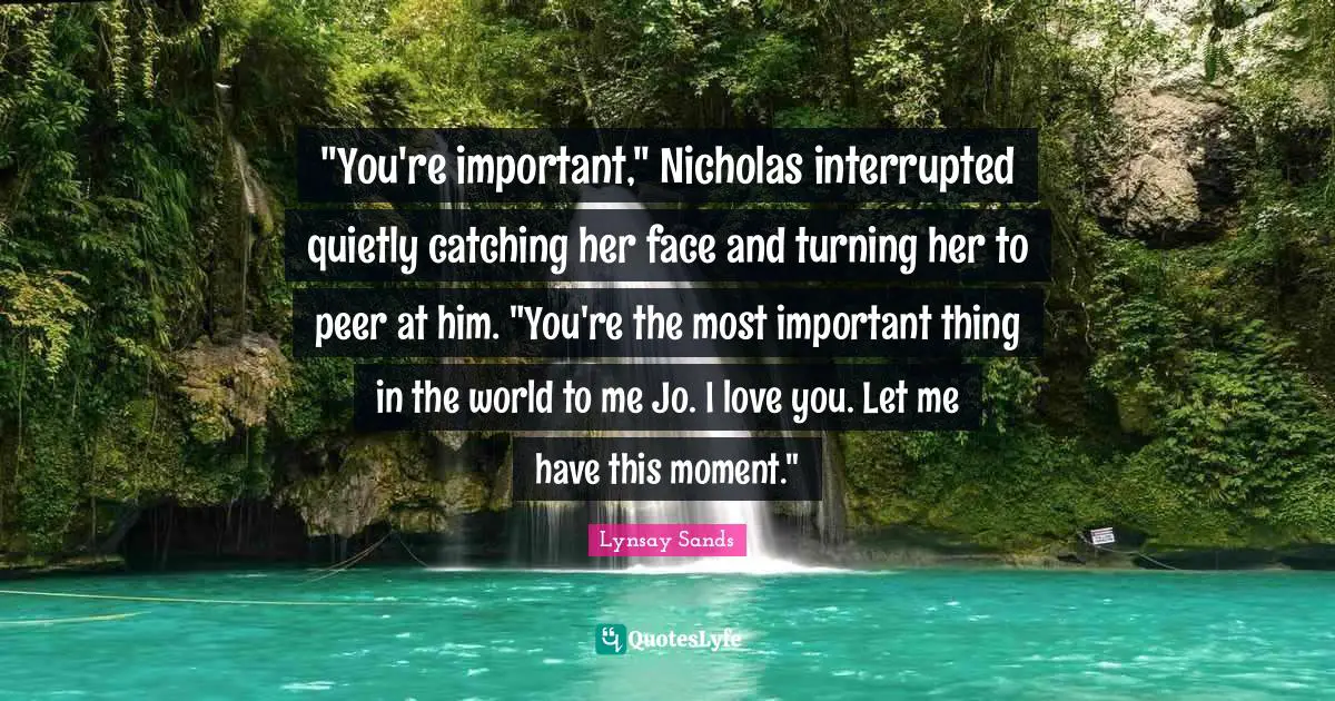 "You're important," Nicholas interrupted quietly catching her face and turning her to peer at him. "You're the most important thing in the world to me Jo. I love you. Let me have this moment."