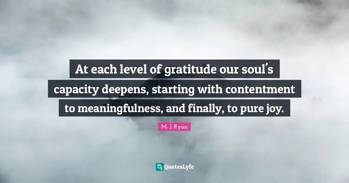 At each level of gratitude our soul's capacity deepens, starting with contentment to meaningfulness, and finally, to pure joy.