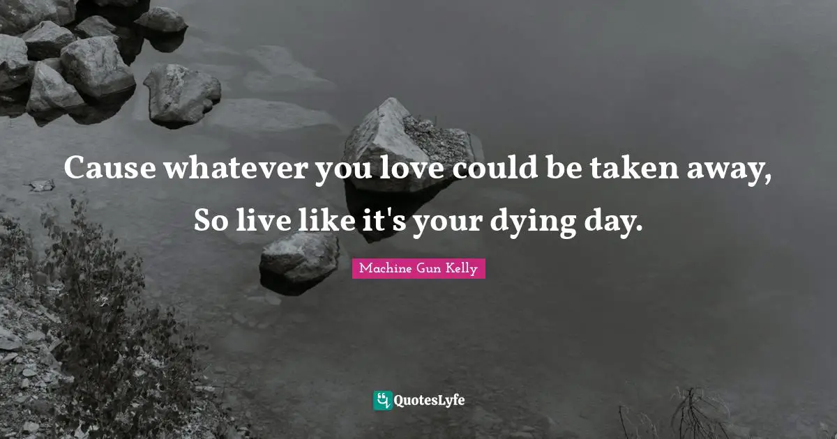 Dying Quotes: "Cause whatever you love could be taken away, So live like it's your dying day."