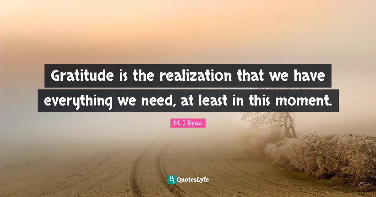 Gratitude is the realization that we have everything we need, at least in this moment.