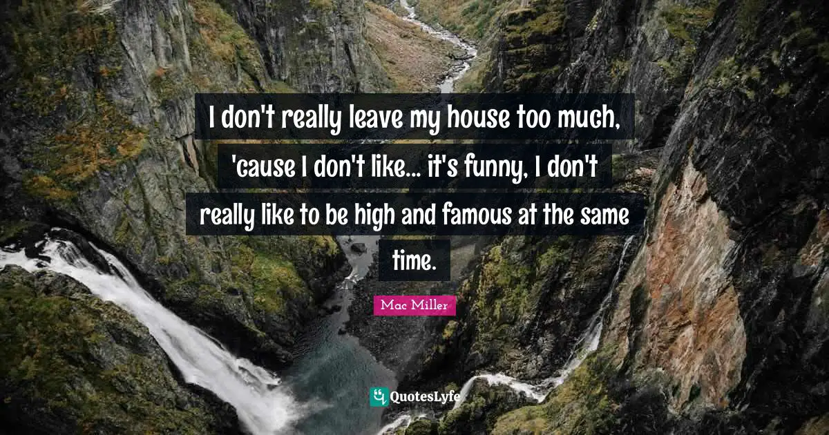 I don't really leave my house too much, 'cause I don't like... it's funny, I don't really like to be high and famous at the same time.