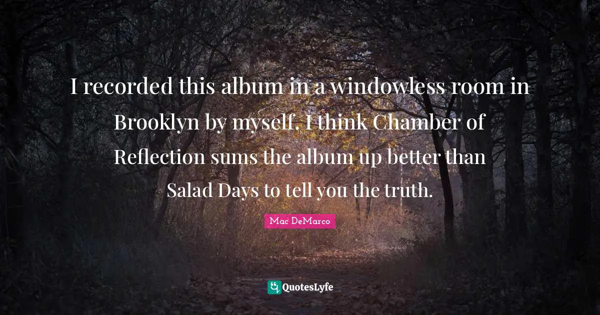 I recorded this album in a windowless room in Brooklyn by myself. I think Chamber of Reflection sums the album up better than Salad Days to tell you the truth.