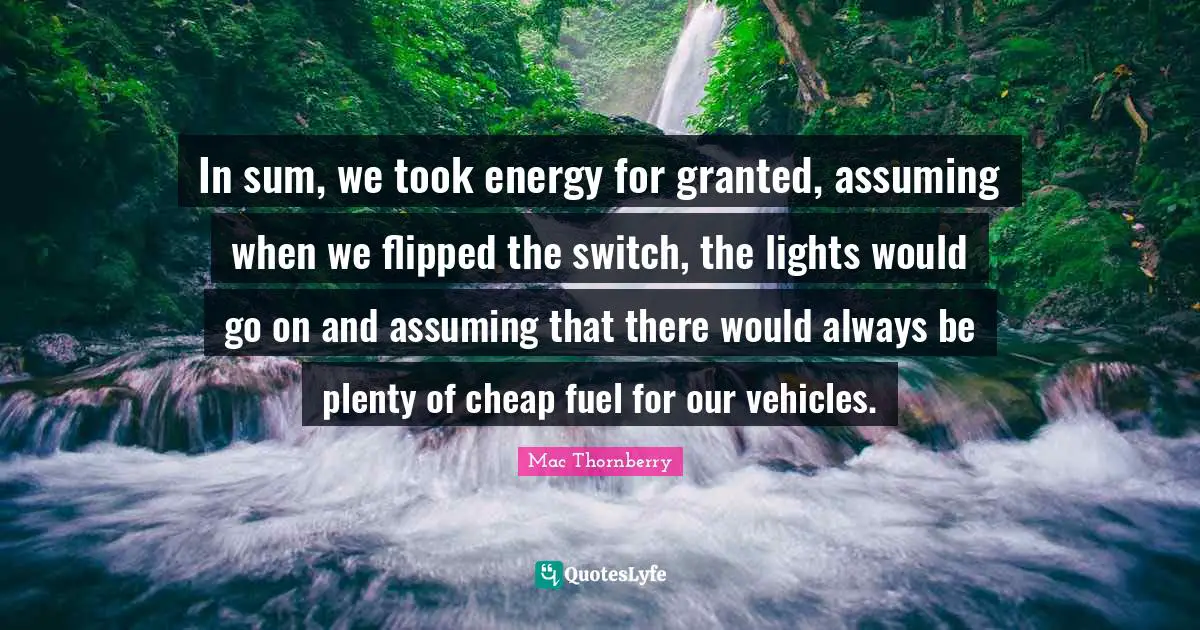 In sum, we took energy for granted, assuming when we flipped the switch, the lights would go on and assuming that there would always be plenty of cheap fuel for our vehicles.