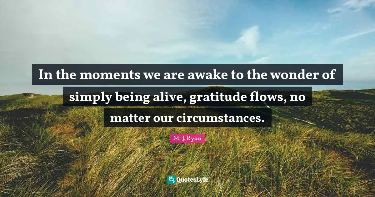 In the moments we are awake to the wonder of simply being alive, gratitude flows, no matter our circumstances.