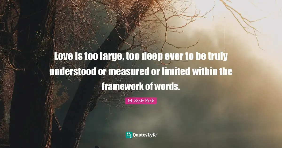 Love is too large, too deep ever to be truly understood or measured or limited within the framework of words.