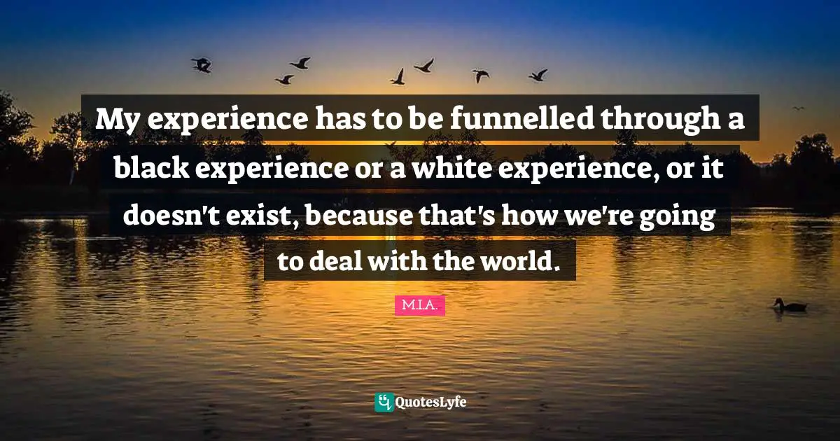My experience has to be funnelled through a black experience or a white experience, or it doesn't exist, because that's how we're going to deal with the world.
